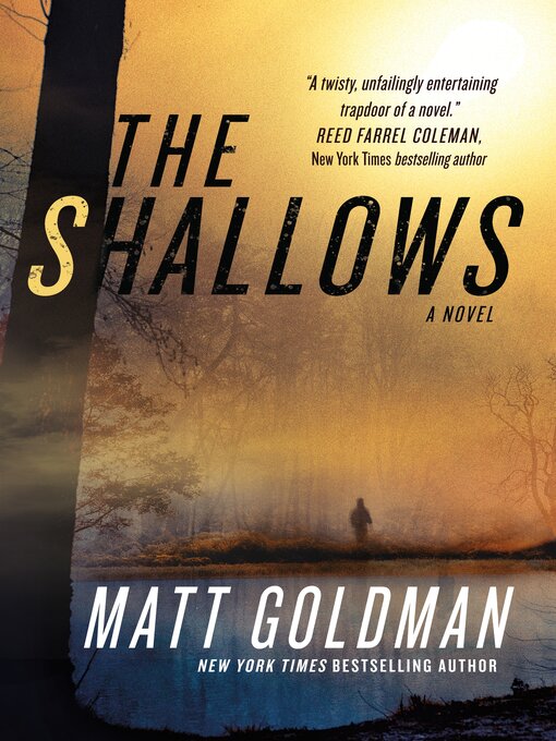 Title details for The Shallows by Matt Goldman - Wait list